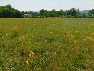 Beautiful 2.75 LEVEL ACRES in the heart of the residential on Middlesboro Country Club in Kentucky - for sale on GolfHomes.com, golf home, golf lot