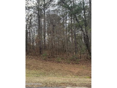 Build your dream home in River Forest, a premier gated golf on The Club River Forest in Georgia - for sale on GolfHomes.com, golf home, golf lot