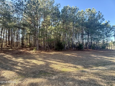 Located on the 5th fairway in River Forest subdivision on The Club River Forest in Georgia - for sale on GolfHomes.com, golf home, golf lot