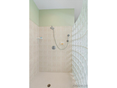 WOW! This is a very special 3 bedroom Terra Vista home located on Skyview At Terra Vista Golf and Country Club in Florida - for sale on GolfHomes.com, golf home, golf lot