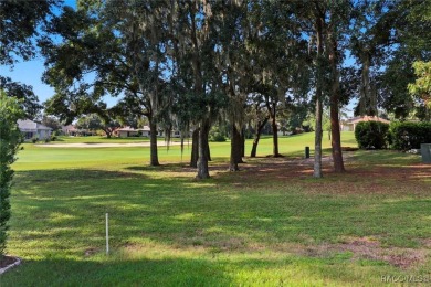 WOW! This is a very special 3 bedroom Terra Vista home located on Skyview At Terra Vista Golf and Country Club in Florida - for sale on GolfHomes.com, golf home, golf lot