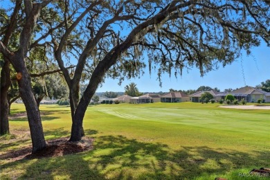 WOW! This is a very special 3 bedroom Terra Vista home located on Skyview At Terra Vista Golf and Country Club in Florida - for sale on GolfHomes.com, golf home, golf lot