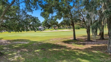 WOW! This is a very special 3 bedroom Terra Vista home located on Skyview At Terra Vista Golf and Country Club in Florida - for sale on GolfHomes.com, golf home, golf lot