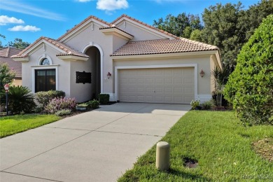 WOW! This is a very special 3 bedroom Terra Vista home located on Skyview At Terra Vista Golf and Country Club in Florida - for sale on GolfHomes.com, golf home, golf lot