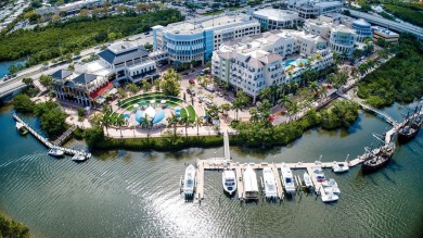 MOTIVATED SELLER! BEACH, GOLF, PARADISE! This stunning on Jupiter Dunes Golf Course in Florida - for sale on GolfHomes.com, golf home, golf lot