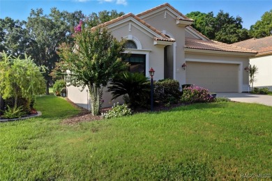 WOW! This is a very special 3 bedroom Terra Vista home located on Skyview At Terra Vista Golf and Country Club in Florida - for sale on GolfHomes.com, golf home, golf lot