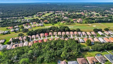 WOW! This is a very special 3 bedroom Terra Vista home located on Skyview At Terra Vista Golf and Country Club in Florida - for sale on GolfHomes.com, golf home, golf lot