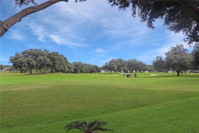 Beautiful conservation lot! This spacious home boasts Window on Monarch At Royal Highlands in Florida - for sale on GolfHomes.com, golf home, golf lot