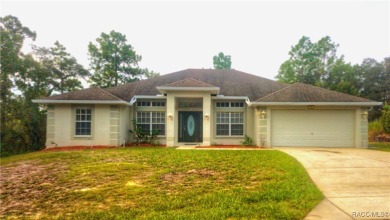 Huge 4 bedroom, 2 bath, 2 car garage in deed restricted golf on Sugarmill Woods Golf and Country Club in Florida - for sale on GolfHomes.com, golf home, golf lot