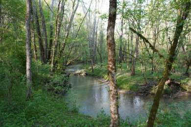 ENGLISH CREEK FRONTAGE on Smoky Mountain Country Club in Tennessee - for sale on GolfHomes.com, golf home, golf lot