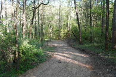 ENGLISH CREEK FRONTAGE on Smoky Mountain Country Club in Tennessee - for sale on GolfHomes.com, golf home, golf lot