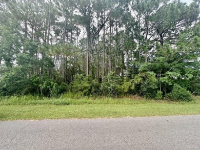 Location! Location! - Last Lot available on Brinkley St.-Come be on The Club At Hidden Creek in Florida - for sale on GolfHomes.com, golf home, golf lot