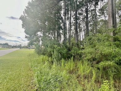 Location! Location! - Last Lot available on Brinkley St.-Come be on The Club At Hidden Creek in Florida - for sale on GolfHomes.com, golf home, golf lot