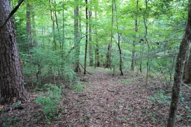 ENGLISH CREEK FRONTAGE on Smoky Mountain Country Club in Tennessee - for sale on GolfHomes.com, golf home, golf lot