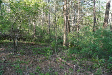 ENGLISH CREEK FRONTAGE on Smoky Mountain Country Club in Tennessee - for sale on GolfHomes.com, golf home, golf lot