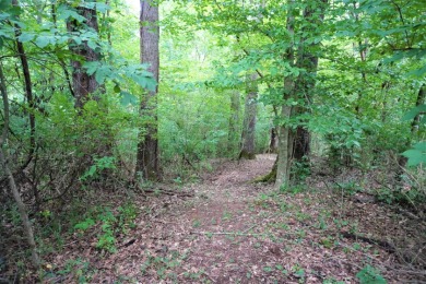 ENGLISH CREEK FRONTAGE on Smoky Mountain Country Club in Tennessee - for sale on GolfHomes.com, golf home, golf lot