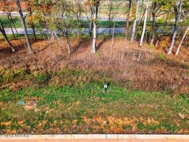 This lot in Tennessee National is perfect for a house with a on Tennessee National Golf Club in Tennessee - for sale on GolfHomes.com, golf home, golf lot