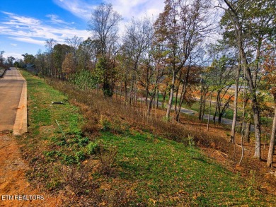 This lot in Tennessee National is perfect for a house with a on Tennessee National Golf Club in Tennessee - for sale on GolfHomes.com, golf home, golf lot