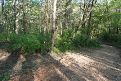 ENGLISH CREEK FRONTAGE on Smoky Mountain Country Club in Tennessee - for sale on GolfHomes.com, golf home, golf lot