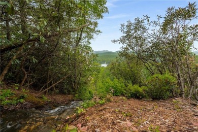 Burton Springs is believed to be the last large, Fee Simple on Waterfall Country Club in Georgia - for sale on GolfHomes.com, golf home, golf lot
