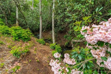 Burton Springs is believed to be the last large, Fee Simple on Waterfall Country Club in Georgia - for sale on GolfHomes.com, golf home, golf lot