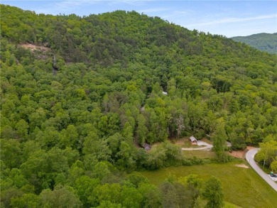Burton Springs is believed to be the last large, Fee Simple on Waterfall Country Club in Georgia - for sale on GolfHomes.com, golf home, golf lot