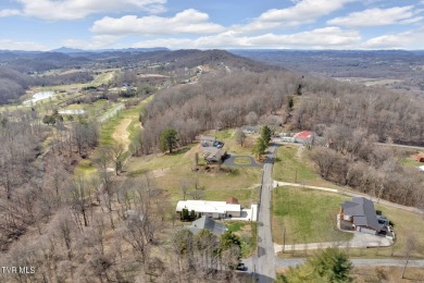 This 4 bed, 2 bath residence boasts a host of features that make on Crocketts Ridge Golf Club in Tennessee - for sale on GolfHomes.com, golf home, golf lot