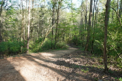 ENGLISH CREEK FRONTAGE on Smoky Mountain Country Club in Tennessee - for sale on GolfHomes.com, golf home, golf lot