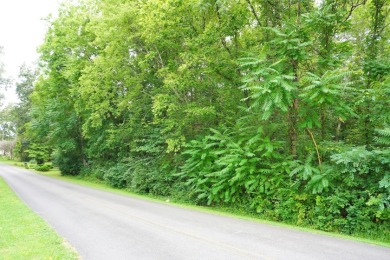 ENGLISH CREEK FRONTAGE on Smoky Mountain Country Club in Tennessee - for sale on GolfHomes.com, golf home, golf lot