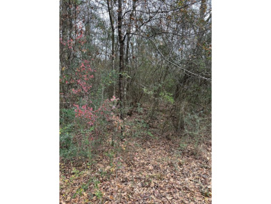 This beautiful wooded property is located in Lake Hillsdale on The Kings Arrow Ranch in Mississippi - for sale on GolfHomes.com, golf home, golf lot