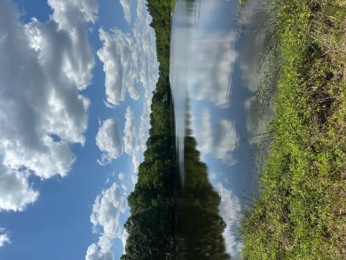 This beautiful wooded property is located in Lake Hillsdale on The Kings Arrow Ranch in Mississippi - for sale on GolfHomes.com, golf home, golf lot