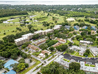 Rarely Available Ground-Floor Condo in Vibrant 55+ Green Dolphin on Tarpon Springs Golf Course in Florida - for sale on GolfHomes.com, golf home, golf lot