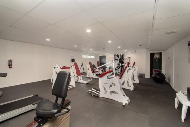 Rarely Available Ground-Floor Condo in Vibrant 55+ Green Dolphin on Tarpon Springs Golf Course in Florida - for sale on GolfHomes.com, golf home, golf lot
