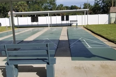 Rarely Available Ground-Floor Condo in Vibrant 55+ Green Dolphin on Tarpon Springs Golf Course in Florida - for sale on GolfHomes.com, golf home, golf lot