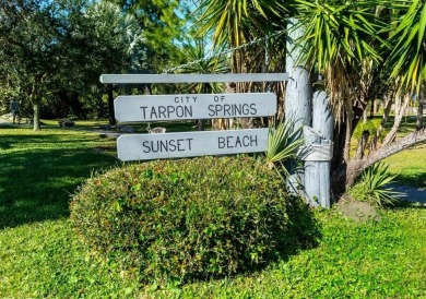 Rarely Available Ground-Floor Condo in Vibrant 55+ Green Dolphin on Tarpon Springs Golf Course in Florida - for sale on GolfHomes.com, golf home, golf lot