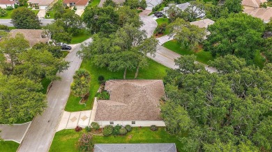 STUNNING, 3/2 BLOCK and STUCCO, DESIGNER Vera Cruz featuring a on El Diablo Executive Golf Course in Florida - for sale on GolfHomes.com, golf home, golf lot