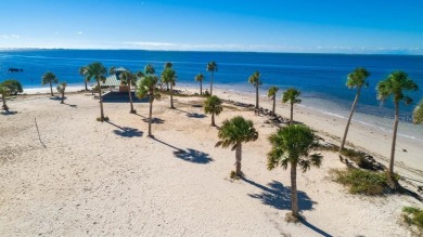 Rarely Available Ground-Floor Condo in Vibrant 55+ Green Dolphin on Tarpon Springs Golf Course in Florida - for sale on GolfHomes.com, golf home, golf lot