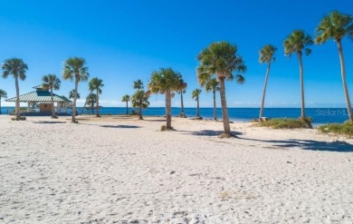 Rarely Available Ground-Floor Condo in Vibrant 55+ Green Dolphin on Tarpon Springs Golf Course in Florida - for sale on GolfHomes.com, golf home, golf lot