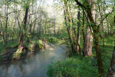 ENGLISH CREEK FRONTAGE on Smoky Mountain Country Club in Tennessee - for sale on GolfHomes.com, golf home, golf lot
