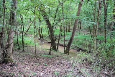 ENGLISH CREEK FRONTAGE on Smoky Mountain Country Club in Tennessee - for sale on GolfHomes.com, golf home, golf lot