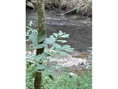 ENGLISH CREEK FRONTAGE on Smoky Mountain Country Club in Tennessee - for sale on GolfHomes.com, golf home, golf lot