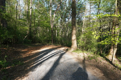 ENGLISH CREEK FRONTAGE on Smoky Mountain Country Club in Tennessee - for sale on GolfHomes.com, golf home, golf lot