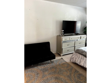 Spacious & Updated 3-Bedroom, 2-Bath Condo - Packed with on River Oaks Golf Course in Illinois - for sale on GolfHomes.com, golf home, golf lot