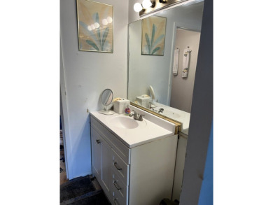 Spacious & Updated 3-Bedroom, 2-Bath Condo - Packed with on River Oaks Golf Course in Illinois - for sale on GolfHomes.com, golf home, golf lot