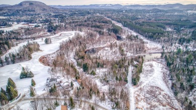 Land zoned for short-term rental along the La Diable River and on Le Maitre de Mont Tremblant in Quebec - for sale on GolfHomes.com, golf home, golf lot