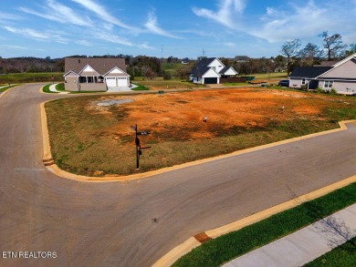 Don't miss this opportunity to own one of the last remaining on Tennessee National Golf Club in Tennessee - for sale on GolfHomes.com, golf home, golf lot