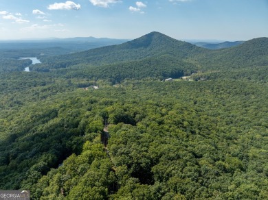 Escape to tranquility with the incredible acre + lot at the top on Bent Tree Golf Course in Georgia - for sale on GolfHomes.com, golf home, golf lot