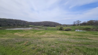 This expansive 165 +/- acre property offers a rare blend of on Sycamore Creek Golf Club in Missouri - for sale on GolfHomes.com, golf home, golf lot