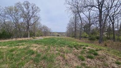 This expansive 165 +/- acre property offers a rare blend of on Sycamore Creek Golf Club in Missouri - for sale on GolfHomes.com, golf home, golf lot