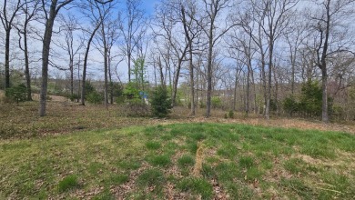 This expansive 165 +/- acre property offers a rare blend of on Sycamore Creek Golf Club in Missouri - for sale on GolfHomes.com, golf home, golf lot